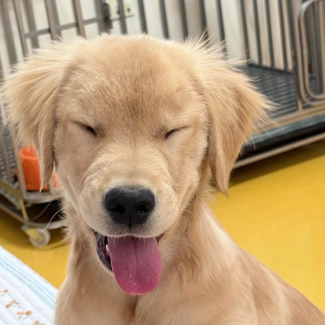 我的钱只够我吃饭