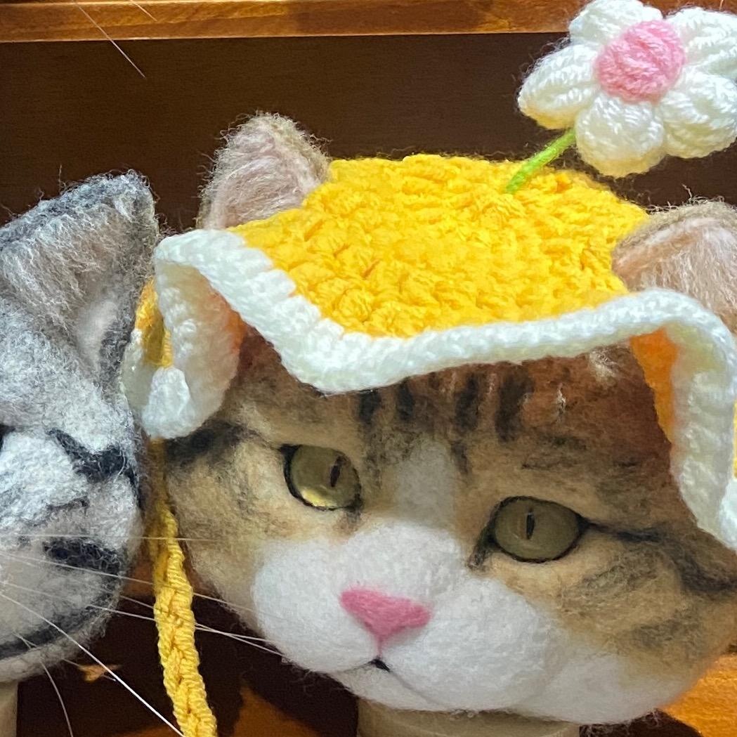 小美猫的羊毛毡