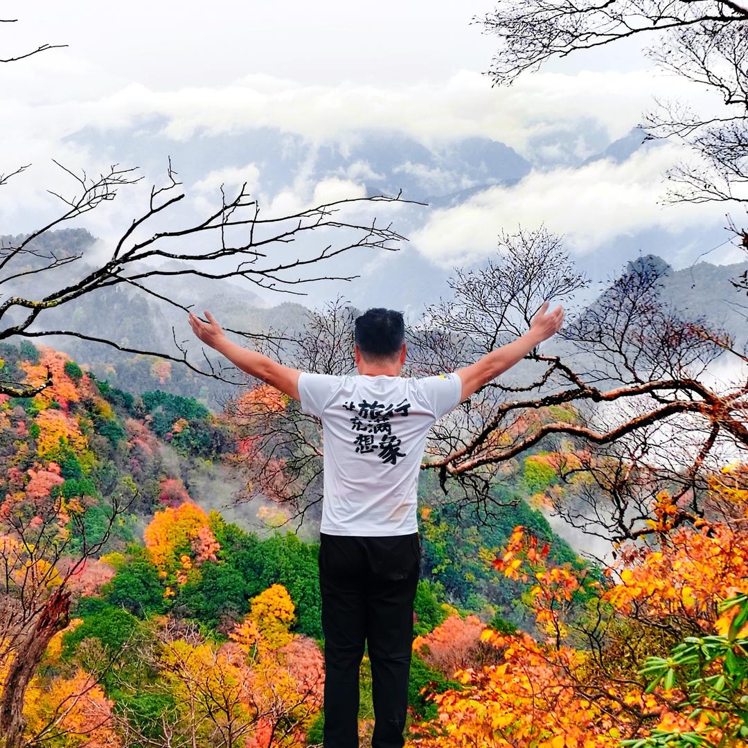 潘长江ai学者 ai scholar