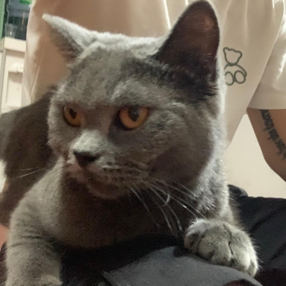 ㅤ             一咪