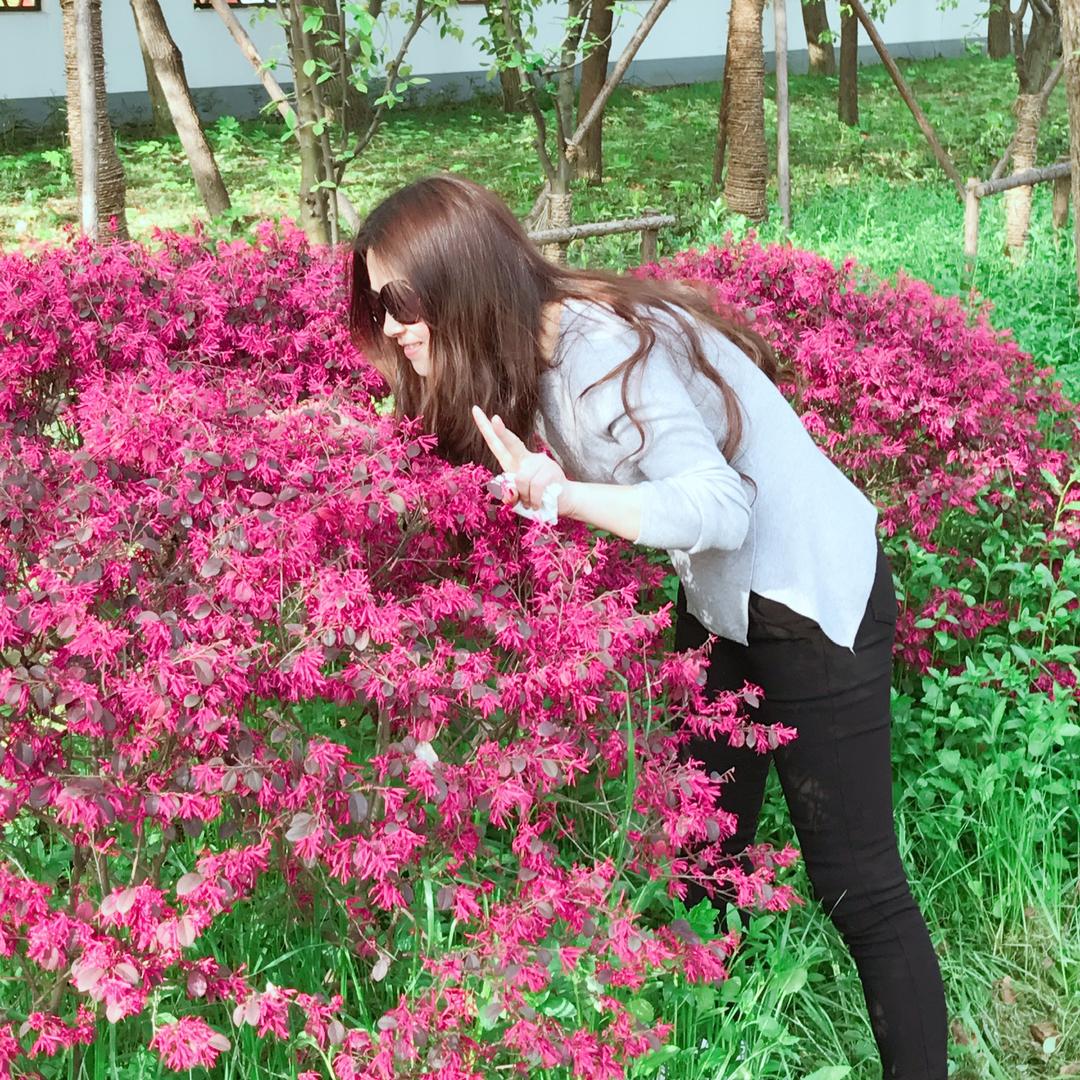 @枫叶