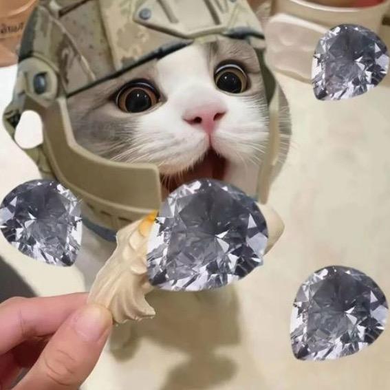 豆包小猪（没有小号）