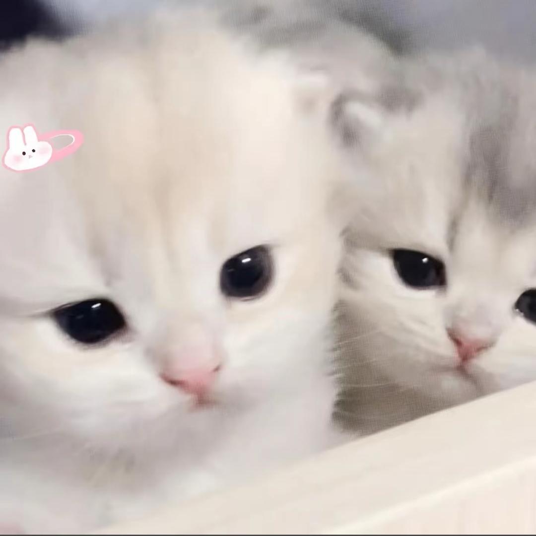 想妳的夜.