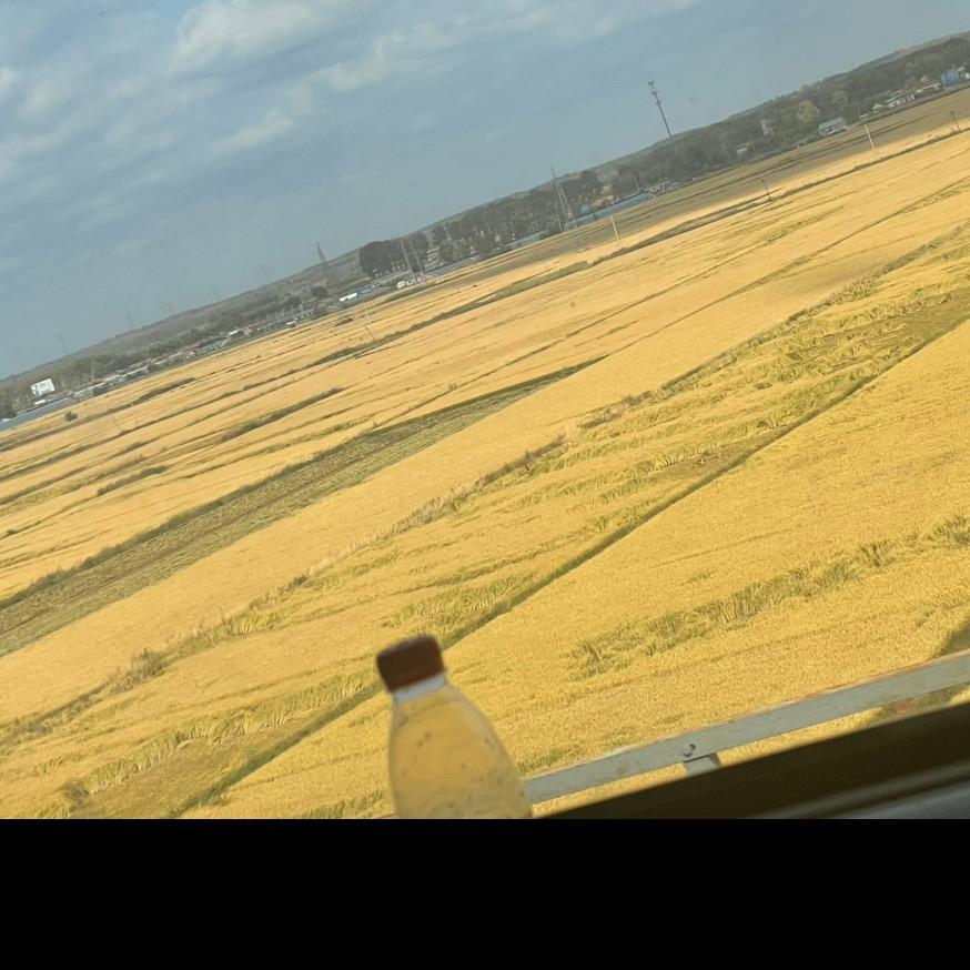 🤧😵🤕🥴通透