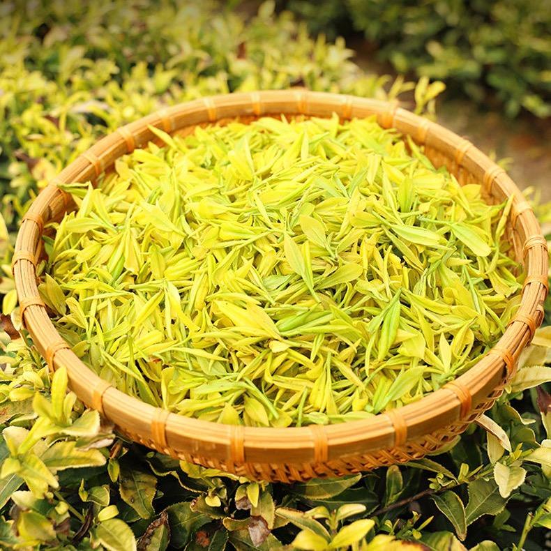 茶香人家茶乡