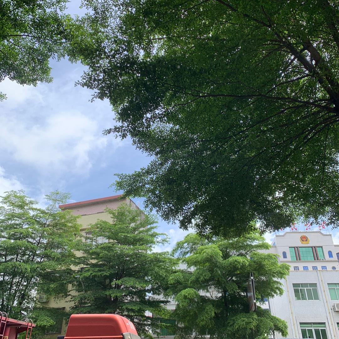 西安满朋聚青直播653号