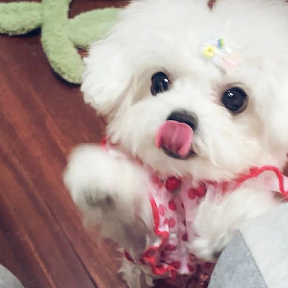 @.别揪我辫子.