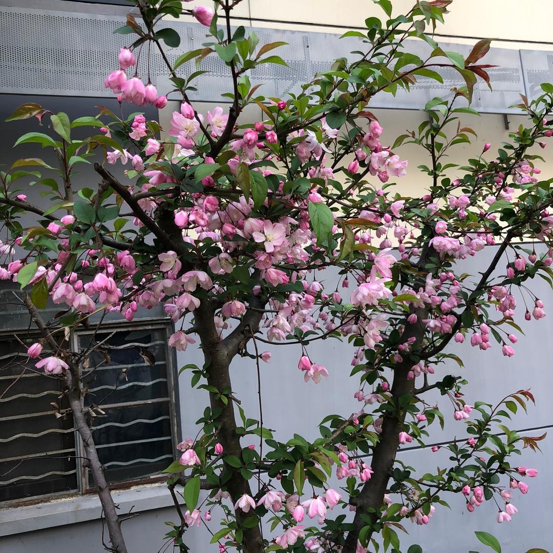 淘气的宝