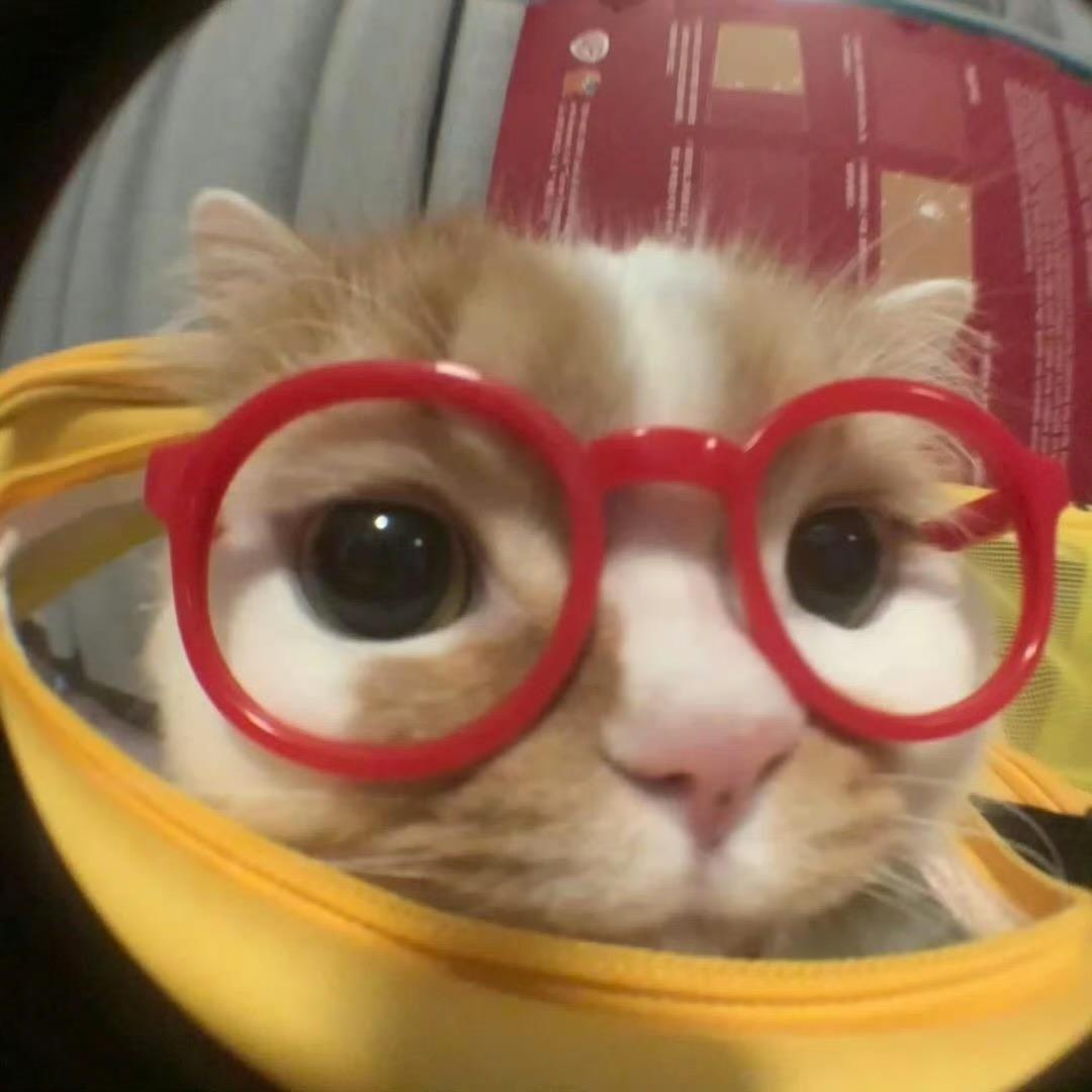 小喜