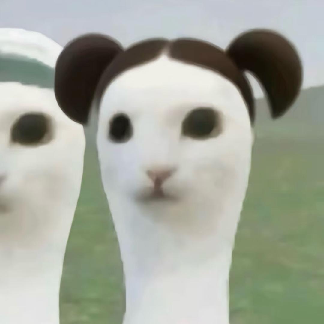 鳕鱼猫ɞ
