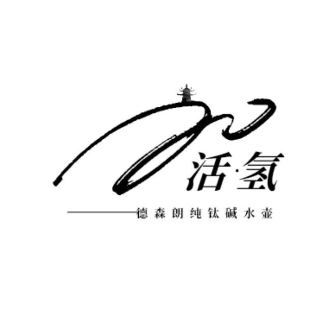 Desselan德森朗石家庄丰钏商贸有限公司户外专卖店