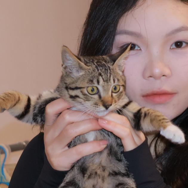 啊昂不昂🐈