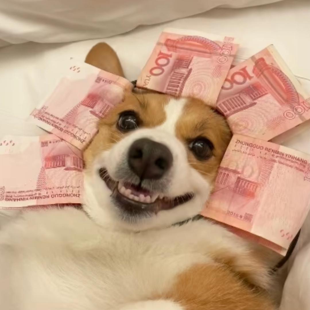 你今天很漂亮^