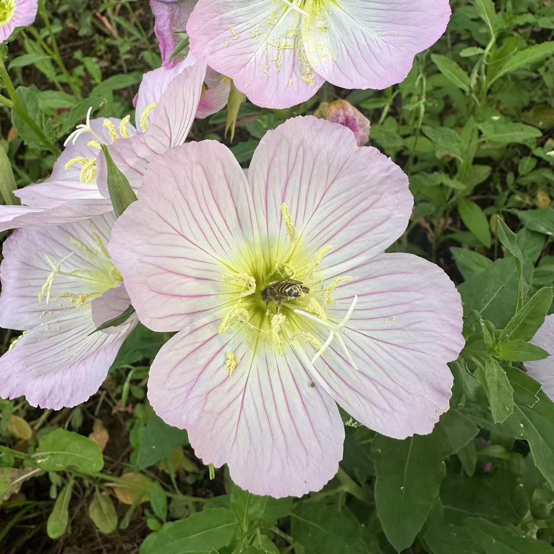 烟花易冷人易散