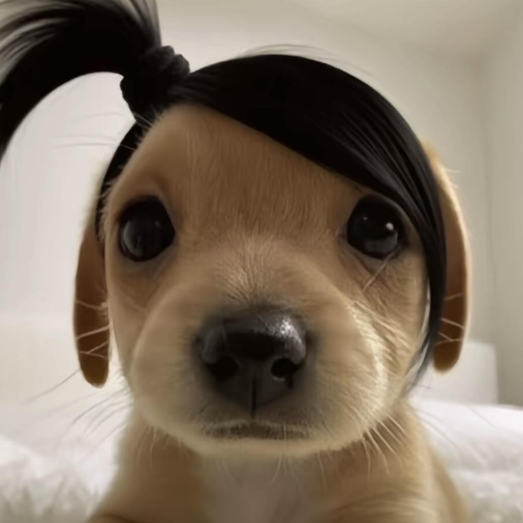 包子