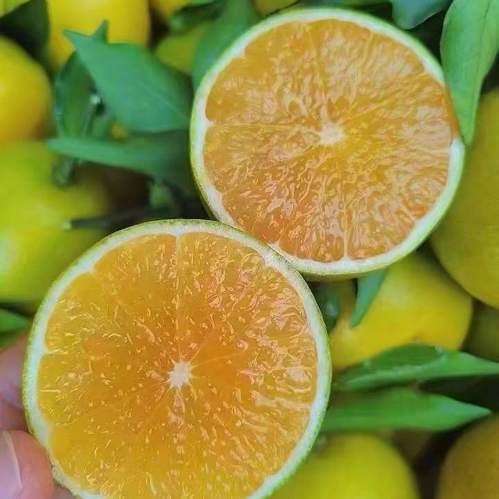 小泡菜