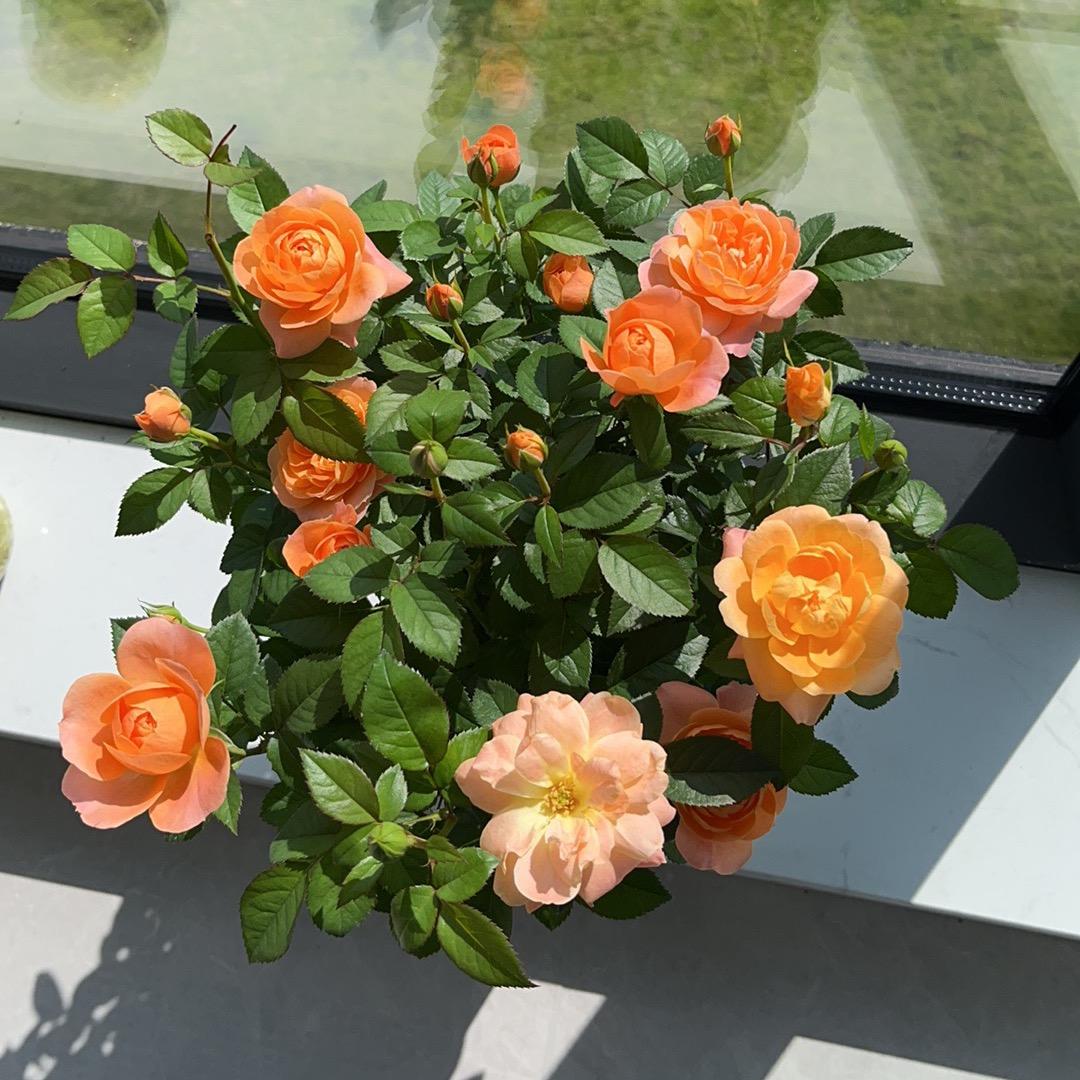 （泸州）炽焰传媒工作室