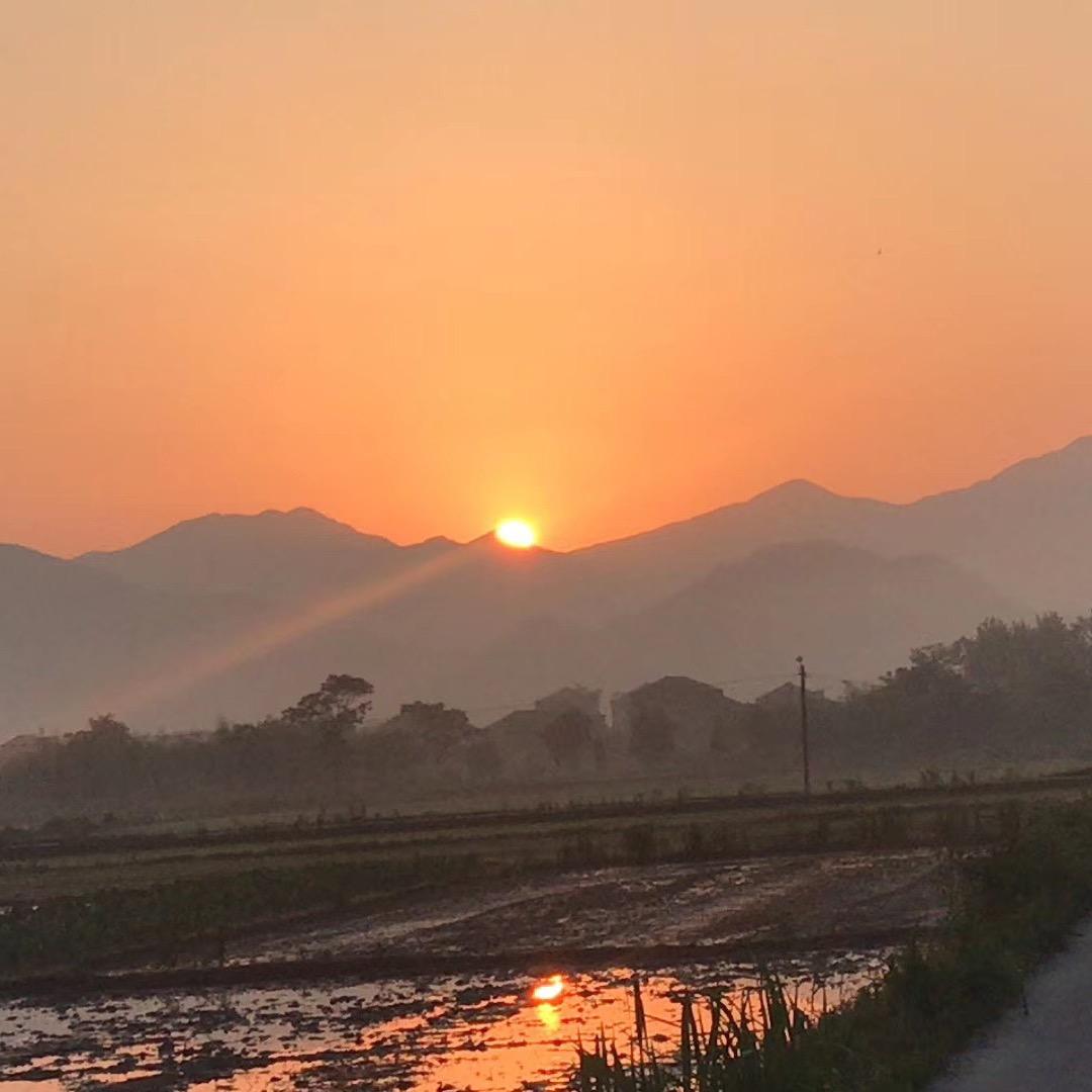 广佳