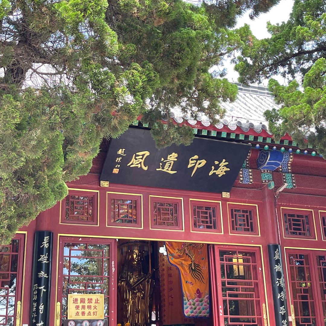 烨烨
