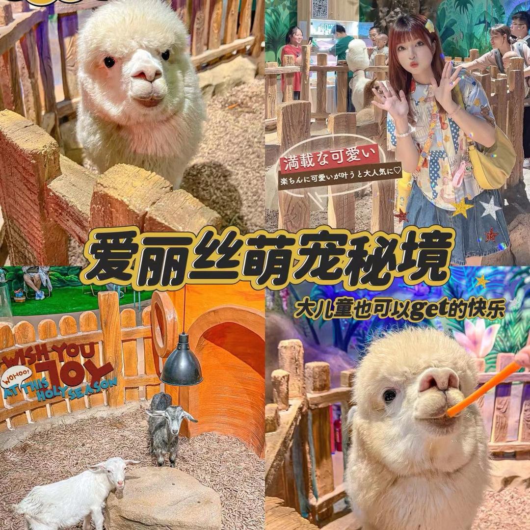 爱丽丝萌宠秘境Vivi