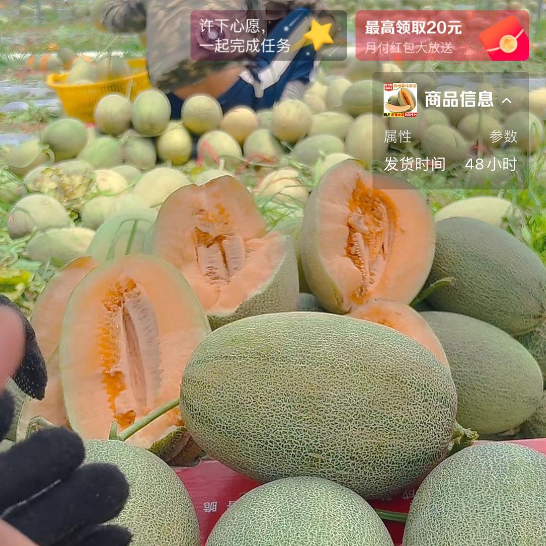 红领巾