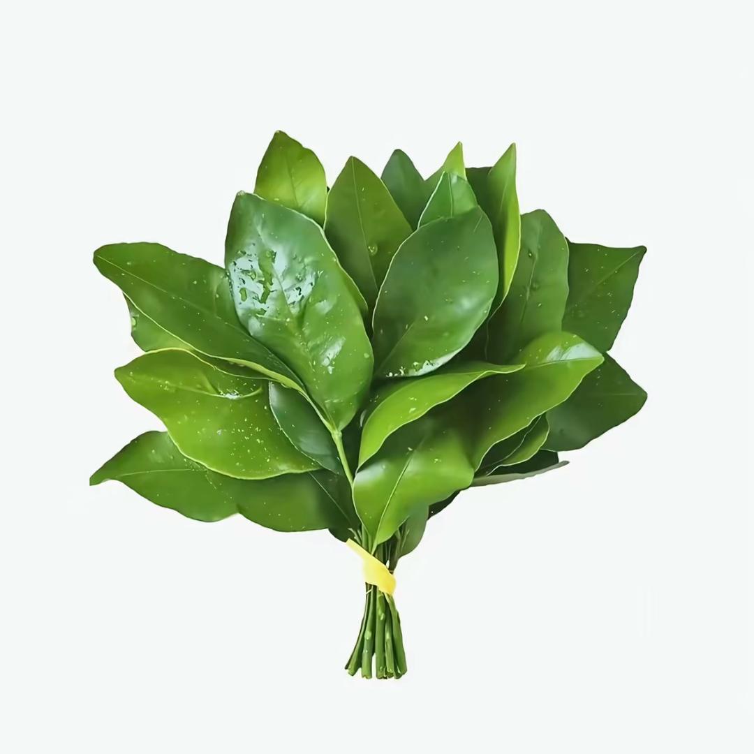 晴天i