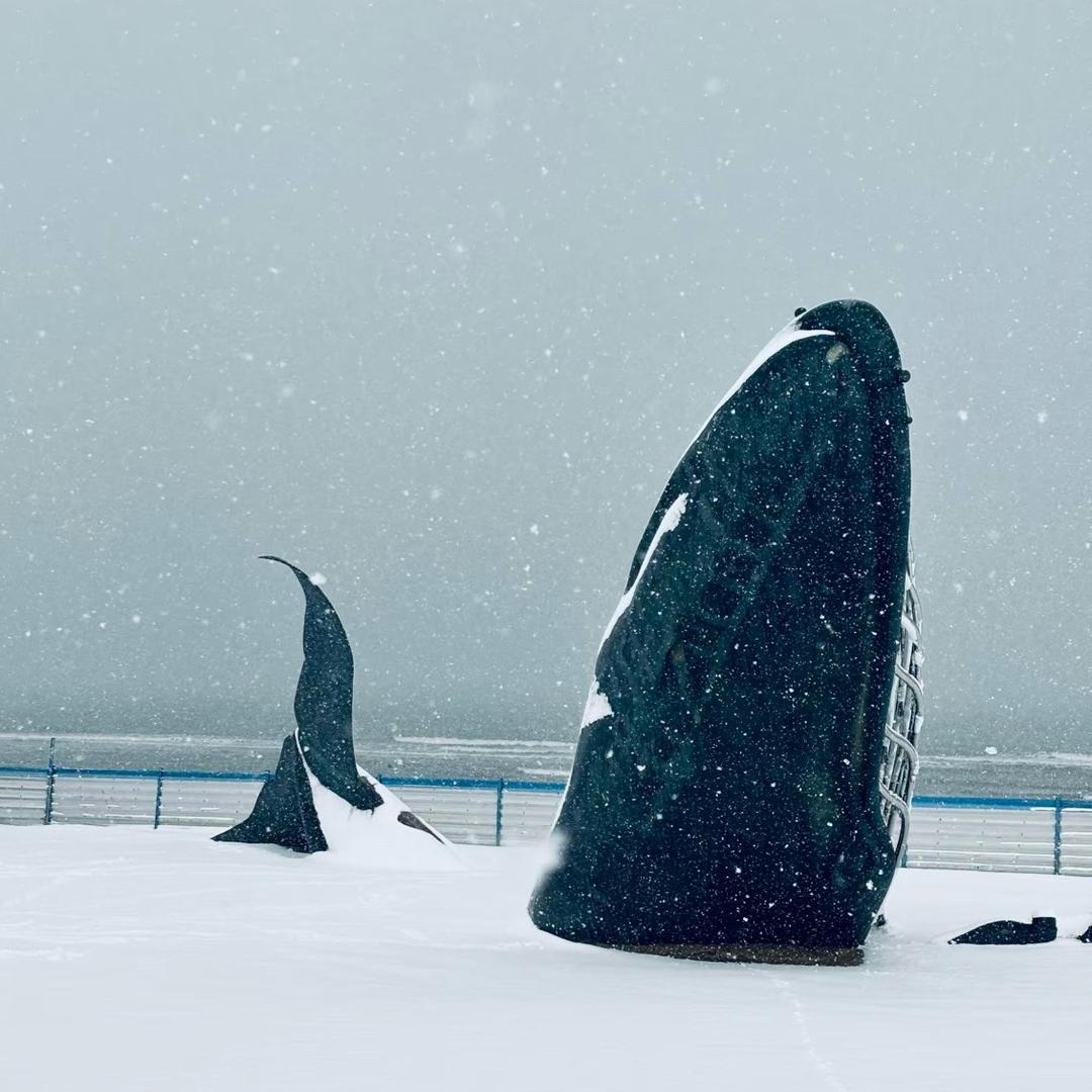 大朋友还是小朋友