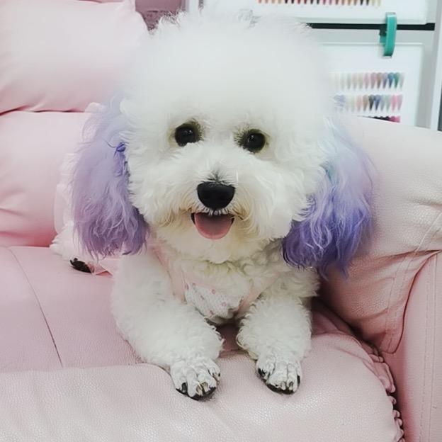 蛋糕妹妹