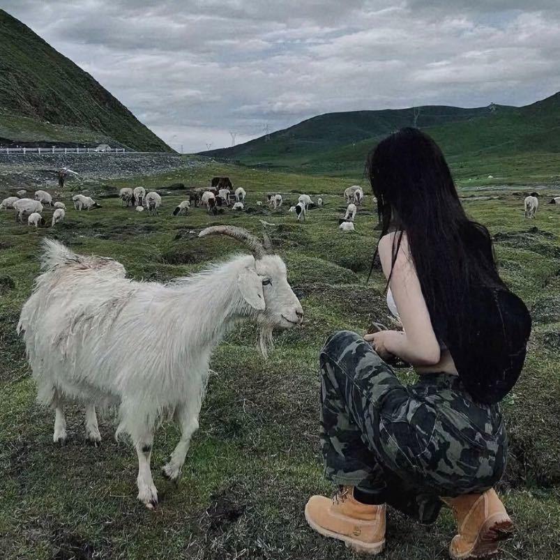 听尽.