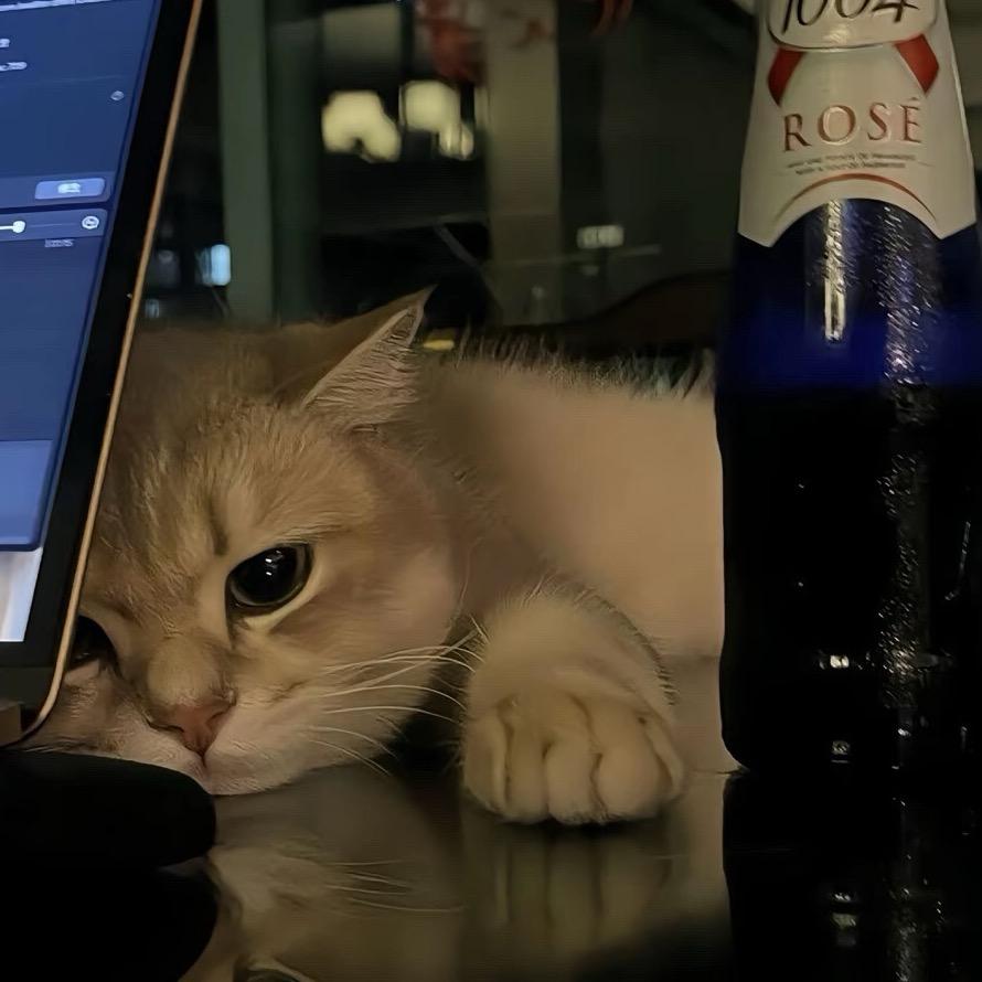 懒猫