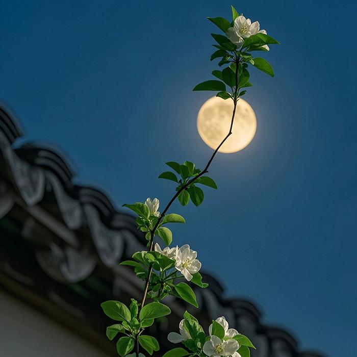 被幸运围绕