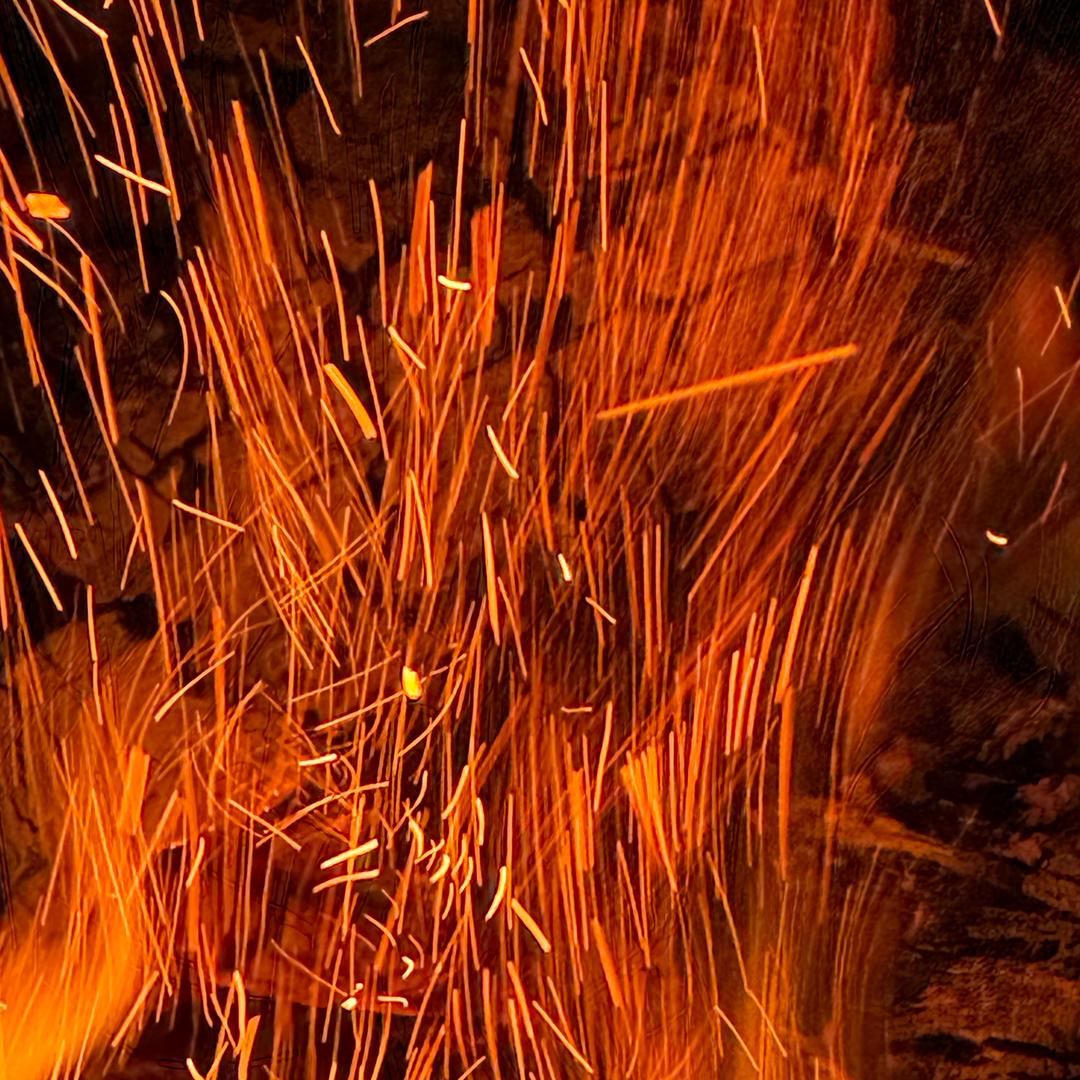 碎碎念的鸡腿儿～