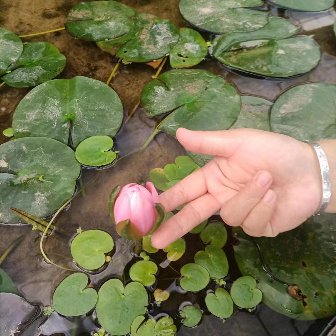 罗圩辉煌足浴