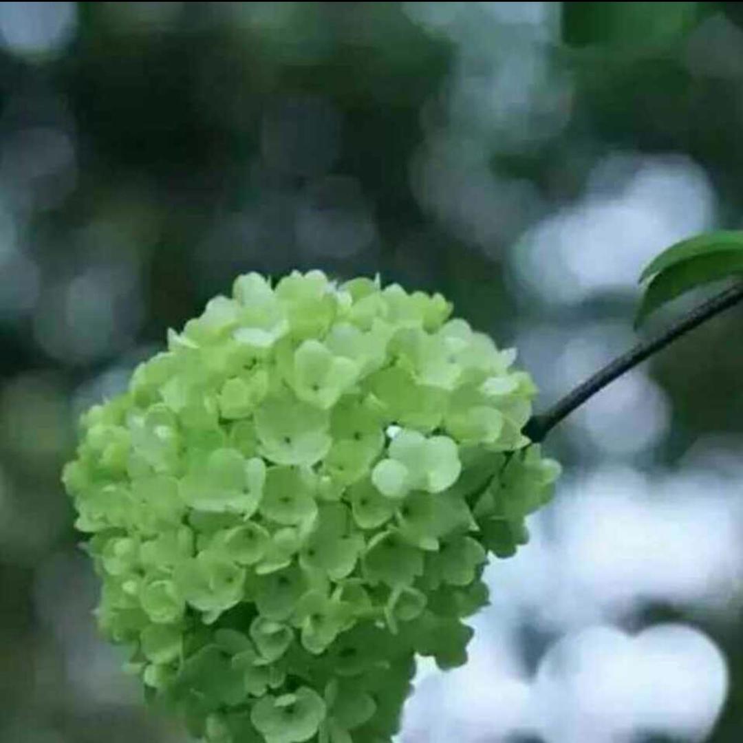 承蒙厚爱