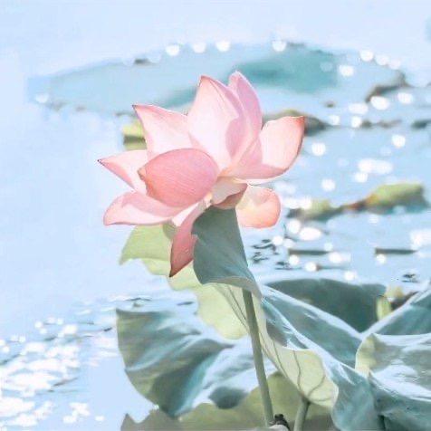 明雨闲心