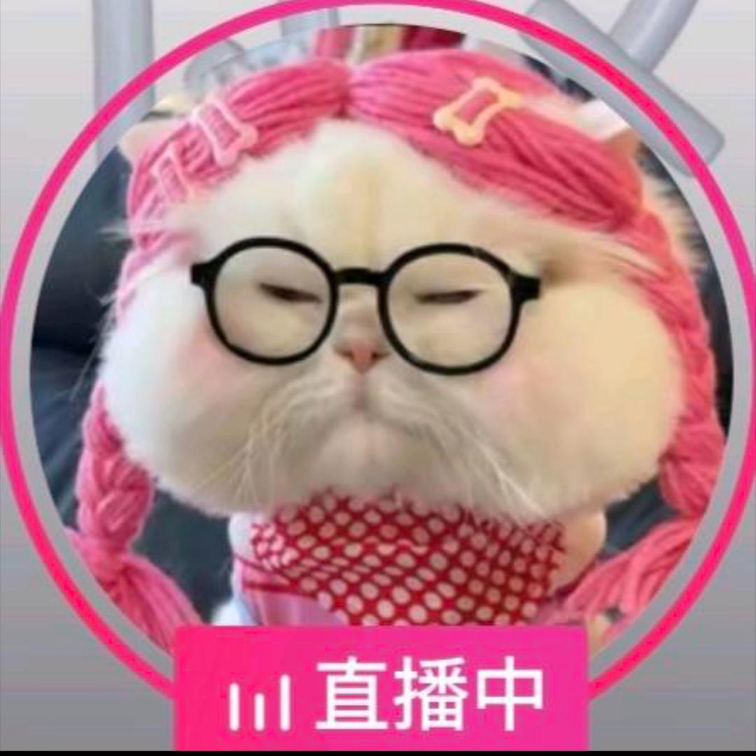 狗蛋