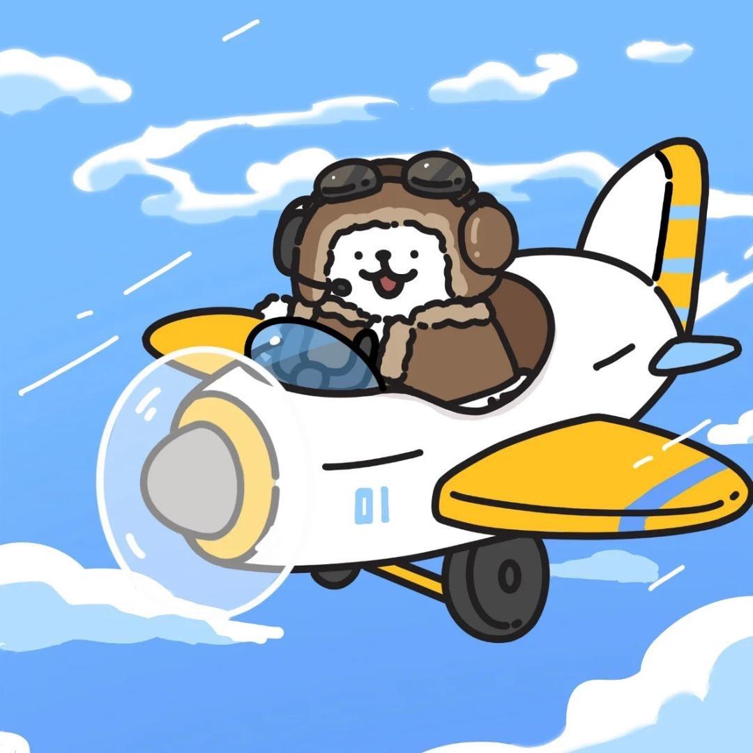 钊钊又去拍照了✈️