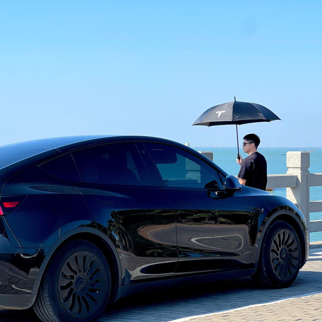 开特能拉养五只猫