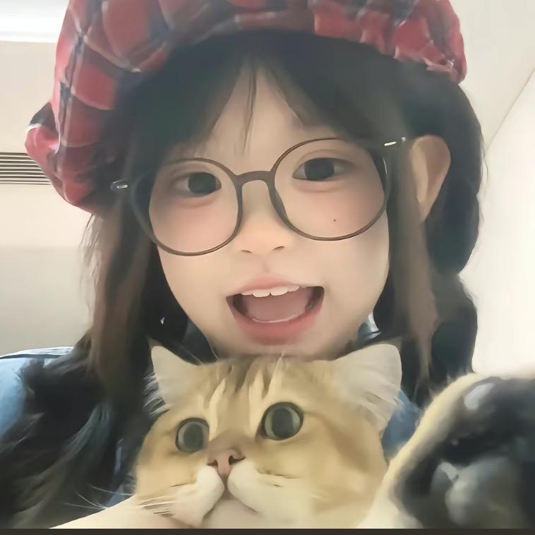反骨猫猫🐈