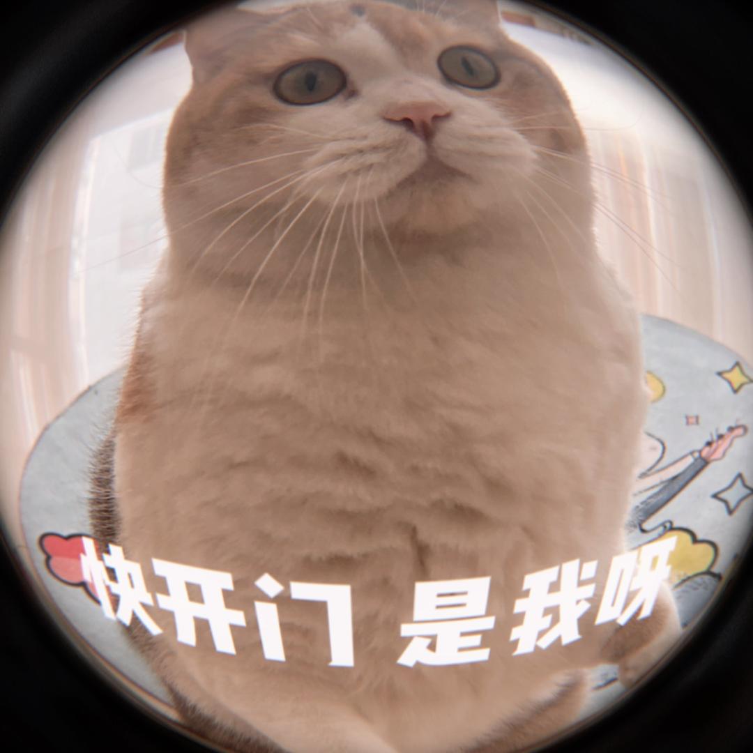 是小娜子呀