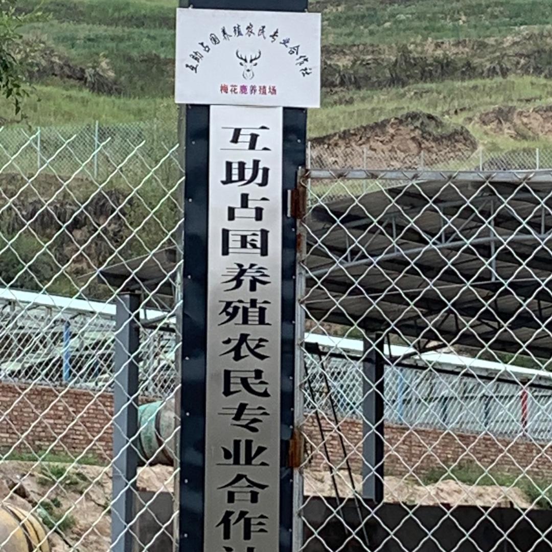 互助占国鹿场