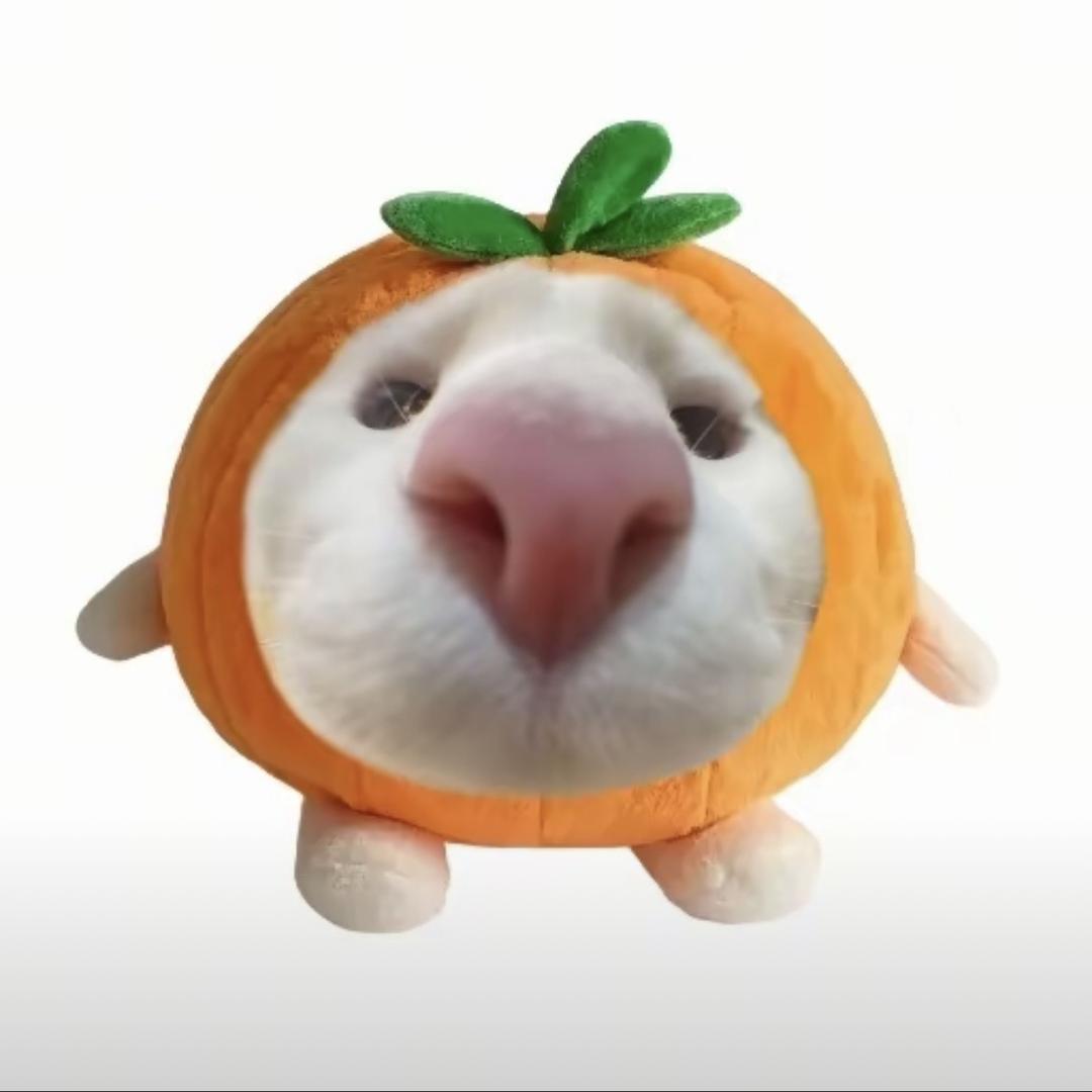 一口安安