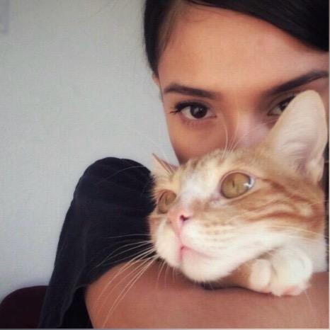 ^ 猫在哪^