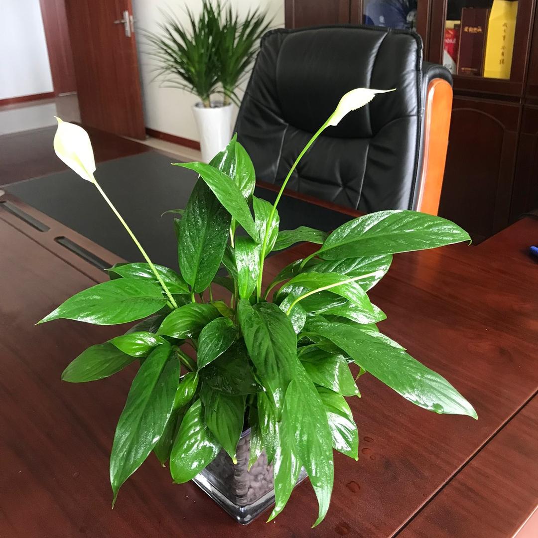 物流课代表  小梁