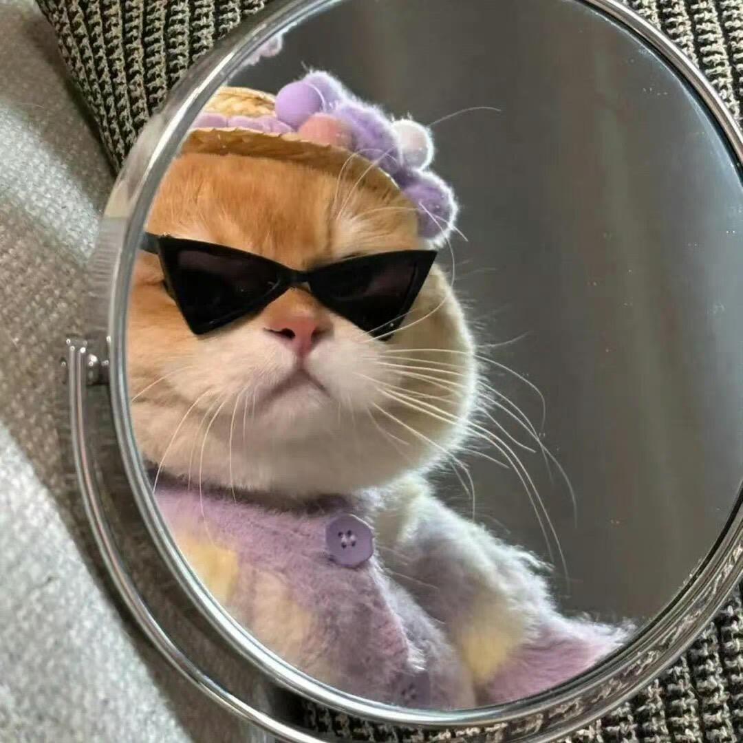 🌈可乐要加冰🧊