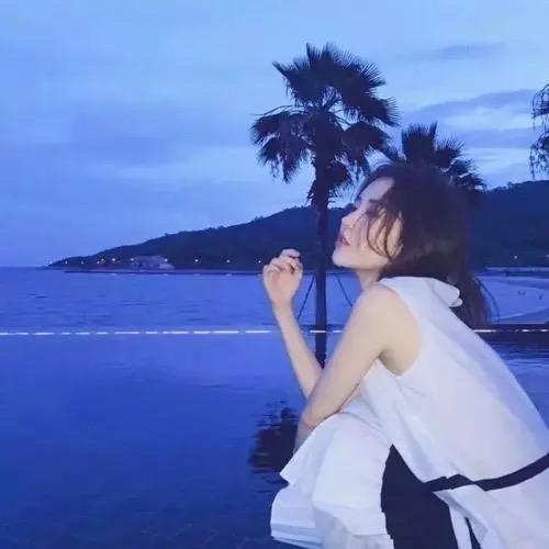 茶茶和橘子