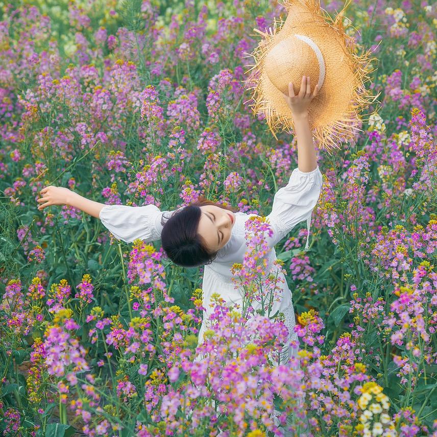 梦精灵