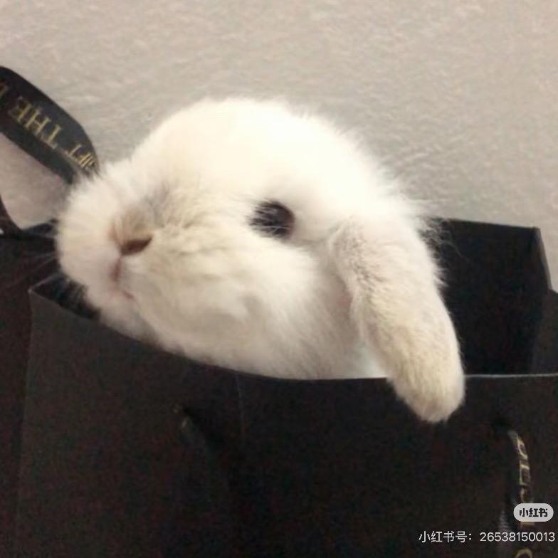 小汀的情感小屋