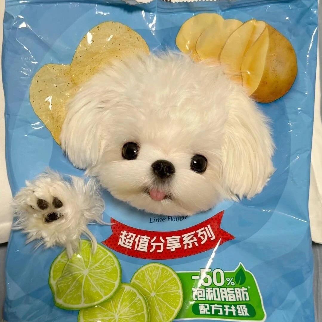 净净净净净净子