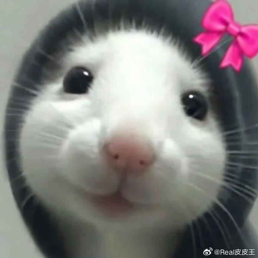 小雨淅淅